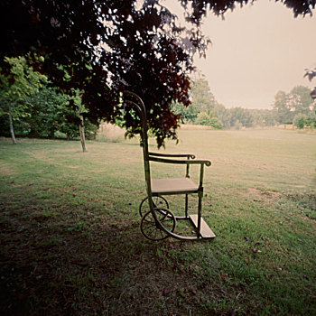木质,椅子,树,草,针孔,英格兰,英国