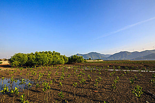 惠东盐洲岛