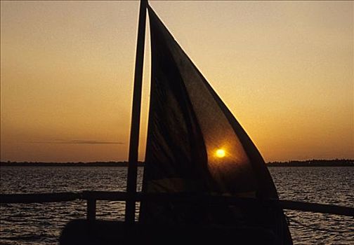 剪影,帆船,海中,日落,坦桑尼亚