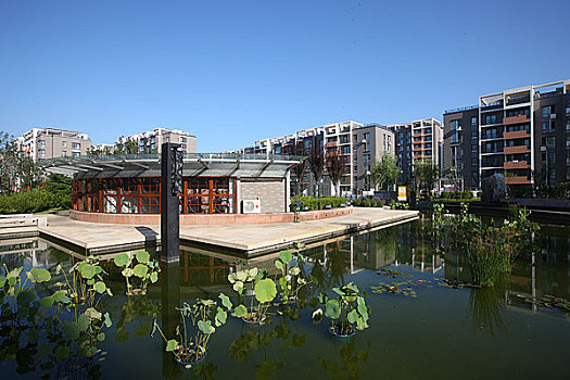 奥运村生态水环境社区