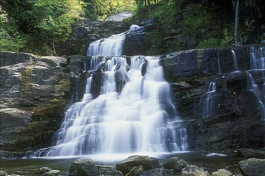 瀑布,树林,州立公园,康涅狄格,美国