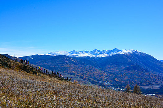 喀纳斯雪山