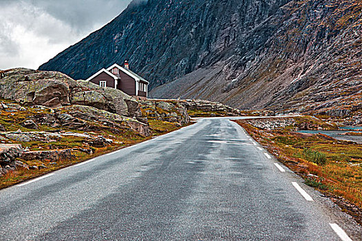 挪威,道路,风景,山