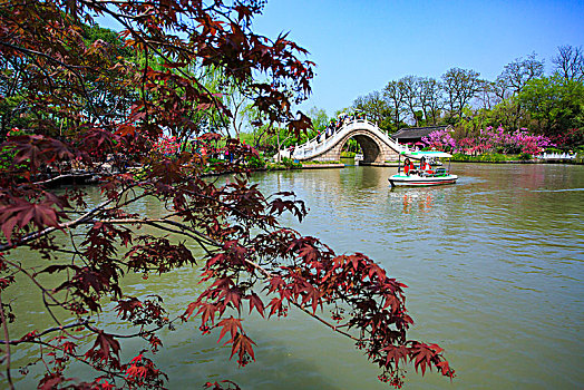 江苏,扬州,瘦西湖,春天,旅游