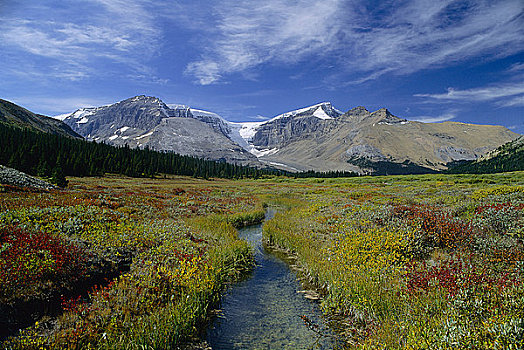 山峦,地点,碧玉国家公园,艾伯塔省,加拿大