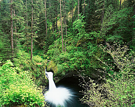 美国,俄勒冈,哥伦比亚河峡谷国家风景区,大幅,尺寸