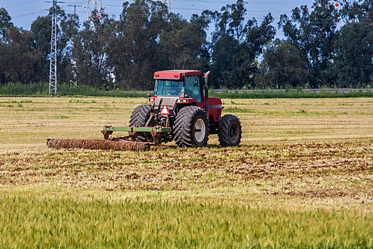 以色列农业图片