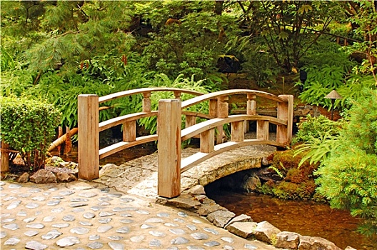 花园,桥