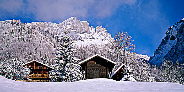 法国,上萨瓦,勃朗峰,雪景,木制屋舍