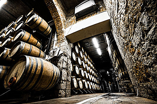 克罗地亚,六月,葡萄酒厂,地窖,一个,著名,达尔马提亚海岸