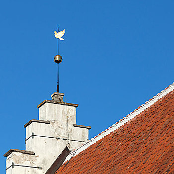 旧式,金色,鸽子,风向标,高处,蓝天,老,局部,塔林,爱沙尼亚