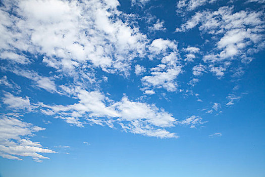 高积云,鲜明,蓝天,中间,输入,云,自然背景,照片