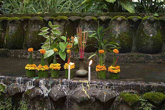 老挝,琅勃拉邦,山,花,供品