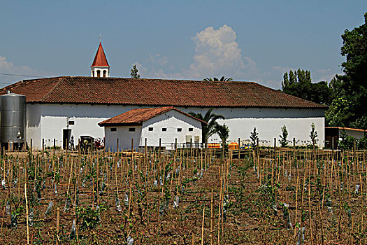 葡萄酒厂,智利