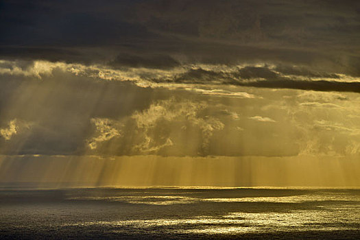 积雨云,太阳光线,上方,海洋,多云,逆戟鲸,萨丁尼亚,意大利,欧洲