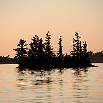 树,中间,湖,木头,安大略省,加拿大