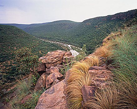 河,风景,沙特阿拉伯