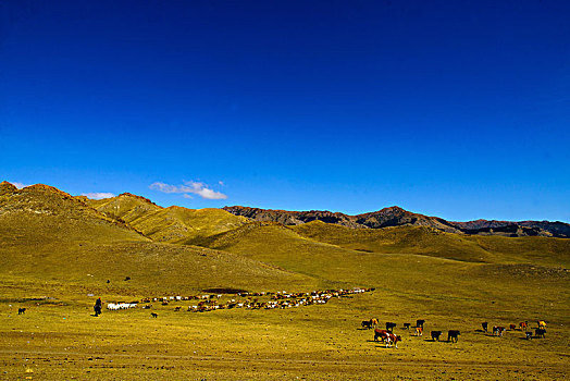 赛里木湖景区