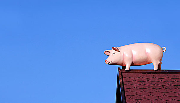 猪,屋顶,广告,雕塑,香肠,工厂