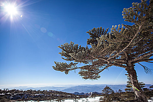 昆明轿子雪山风光