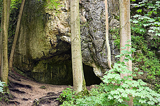 洞穴,靠近,石头,国家公园,波兰,欧洲