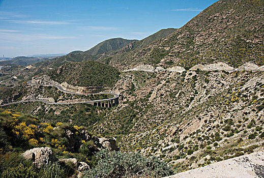 弯曲,山路,自然公园,安达卢西亚,西班牙