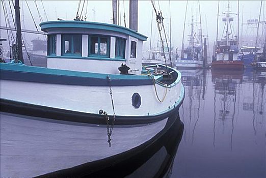 渔船,港口,华盛顿,美国