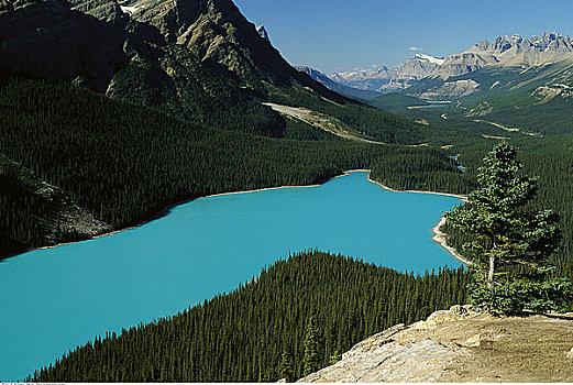 佩多湖,班芙国家公园,艾伯塔省,加拿大