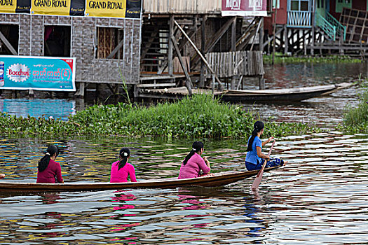 缅甸,茵莱湖,女人,划船,独木舟,家,上方,湖