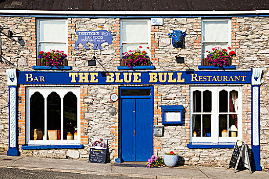 蓝色,餐馆,酒吧,标识,门,凯瑞郡,爱尔兰