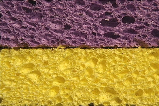 黄色,紫色,海绵