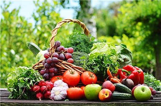 品种,新鲜,有机,蔬菜,花园