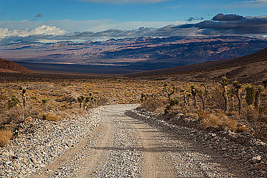 土路,通过,风景,死亡谷国家公园,加利福尼亚,美国