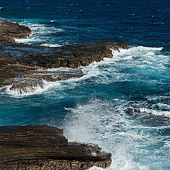 岩石构造,海岸,瓦胡岛,夏威夷,美国