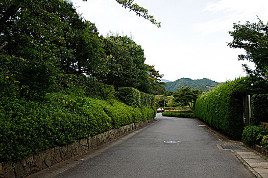 日本,京都,岚山