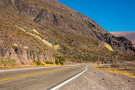 山,道路,方向,智利,胡胡伊省,阿根廷,南美