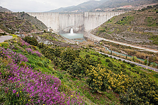 水,坝,靠近,格拉纳达,安达卢西亚,西班牙