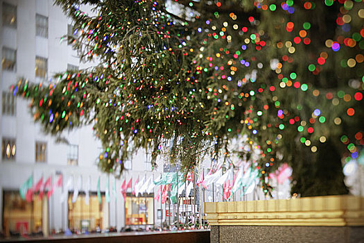 圣诞树,洛克菲勒中心