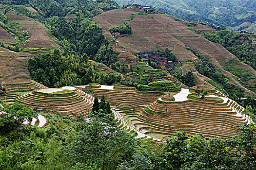 龙脊梯田