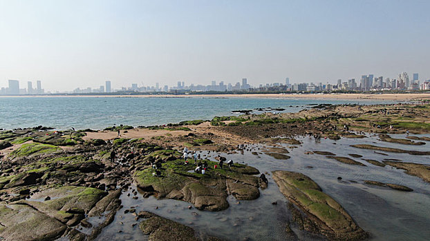 太公岛迎来天文大潮,市民登岛赶海拾贝乐享生活