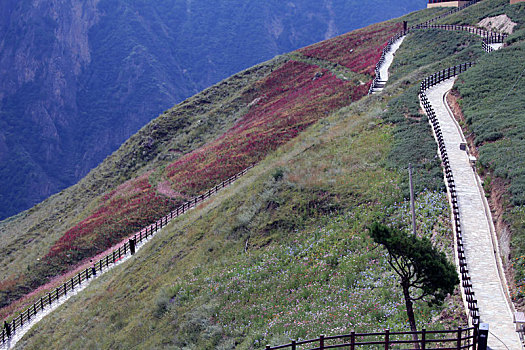 四川丹巴,卡帕玛群峰下彩色草原和美丽藏寨