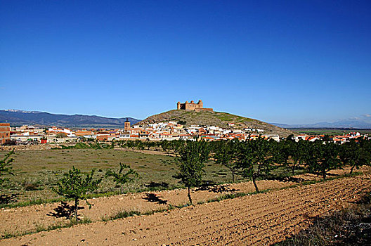 风景,城镇,城堡,安达卢西亚,西班牙