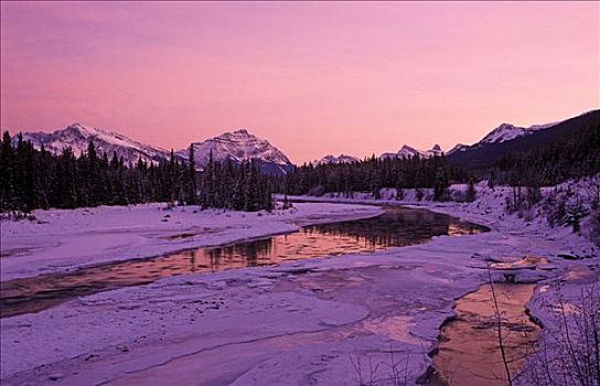 河,冬天,碧玉国家公园,艾伯塔省,加拿大,北美