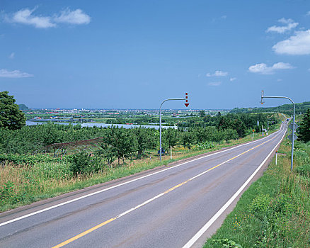 水果,小路