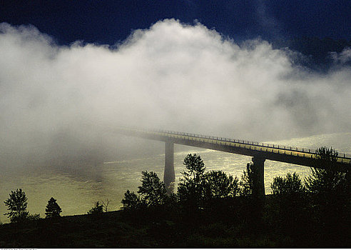 桥,俯视,河,雾,弗雷泽河,不列颠哥伦比亚省