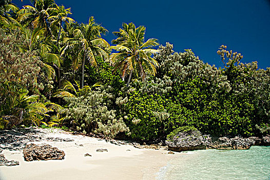洛亚蒂群岛图片