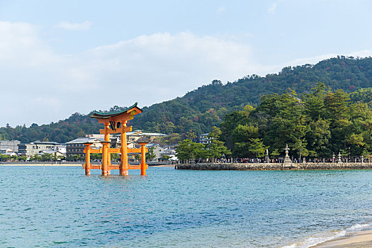 巨大,漂浮,日本神道,鸟居,严岛神社