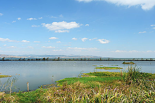 云南昆明洱海湿地