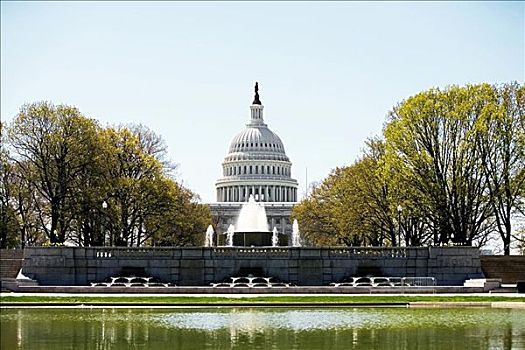 喷泉,正面,国会大厦建筑,华盛顿特区,美国