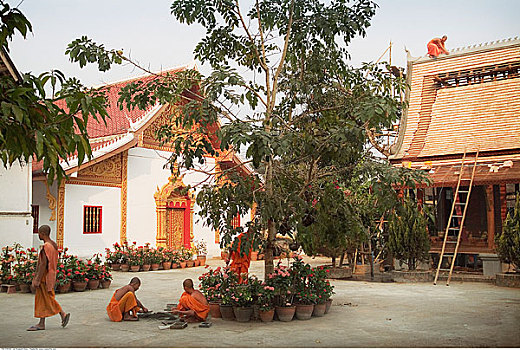 和尚,修理,屋顶,建筑,琅勃拉邦,老挝